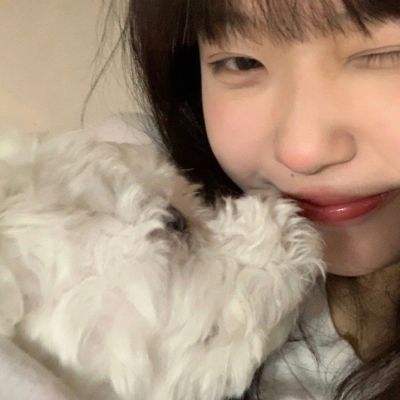 急速体育娱乐APP/手机APP下载